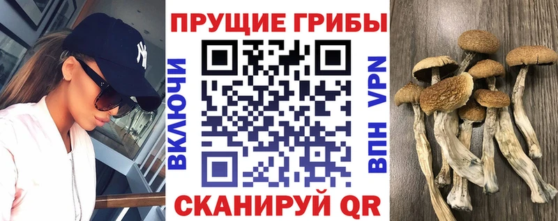Псилоцибиновые грибы мухоморы Купить где Котово